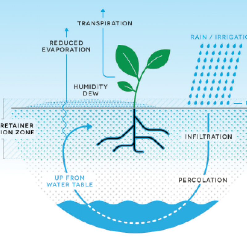 geo Water Retainer - Εδαφοβελτιωτικό Μείωσης Εξάτμισης Νερού