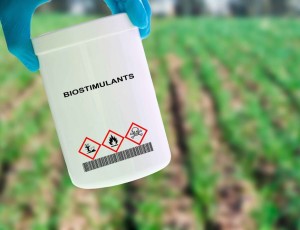 Αποτελεσματική διαχείριση εδαφικής υγρασίας με βιοδιεγέρτες και εδαφοβελτιωτικά προϊόντα