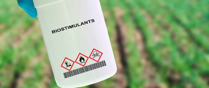 Αποτελεσματική διαχείριση εδαφικής υγρασίας με βιοδιεγέρτες και εδαφοβελτιωτικά προϊόντα