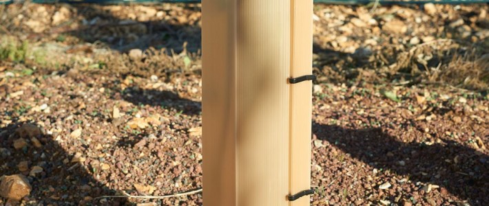 Ζιζανιοκτονία χωρίς ζημιές: Πώς χρησιμοποιείτε προστατευτικά ζιζανιοκτονίας και τι να αποφύγετε